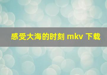 感受大海的时刻 mkv 下载